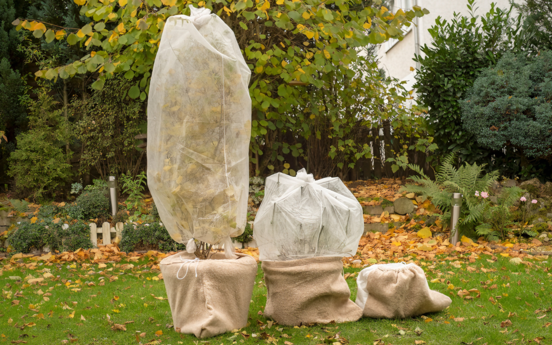 Consigli pratici per preparare il tuo giardino all’inverno e proteggerlo dal freddo